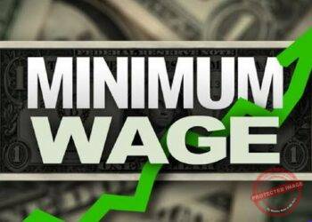How To Achieve Financial Freedom As A Minimum Wage Earner In Nigeria