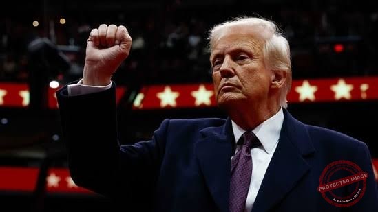 Donald Trump Signs Executive Order To End Birthright Citizenship